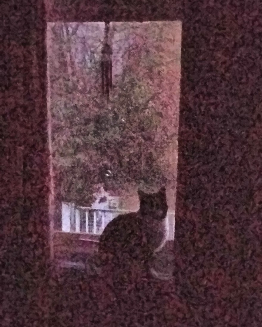 IMG_20200110_232129_257_optimized