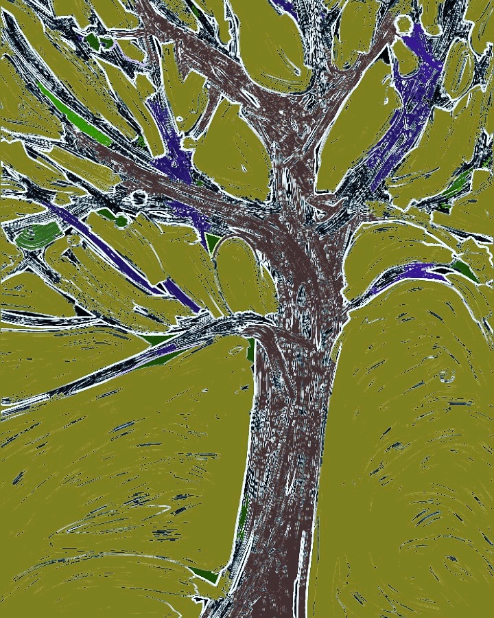 IMG_20200120_193348_455