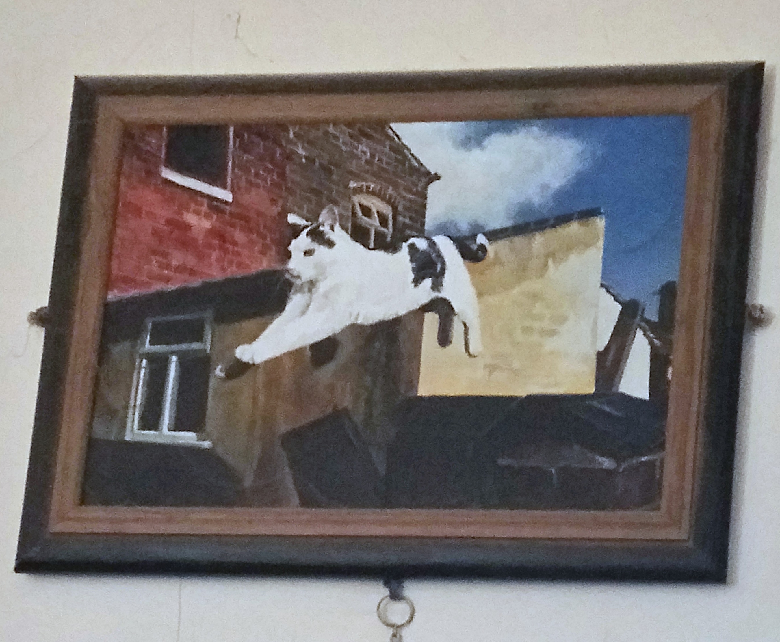 IMG_20200122_120728_284