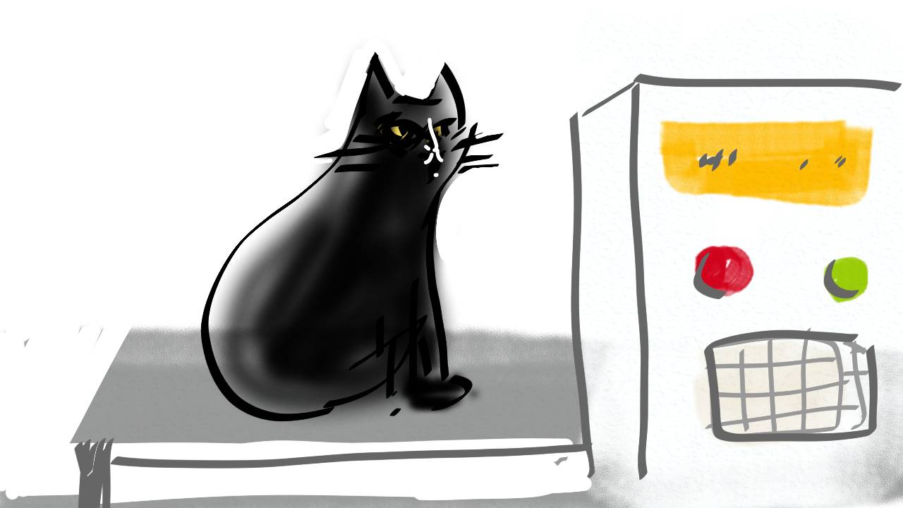 sketch-1579130933324