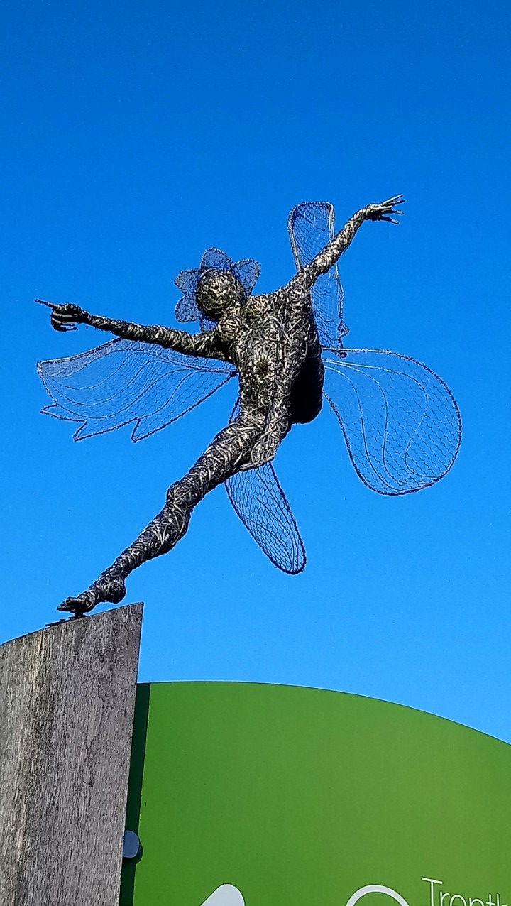 DSC_2332_optimized (6)