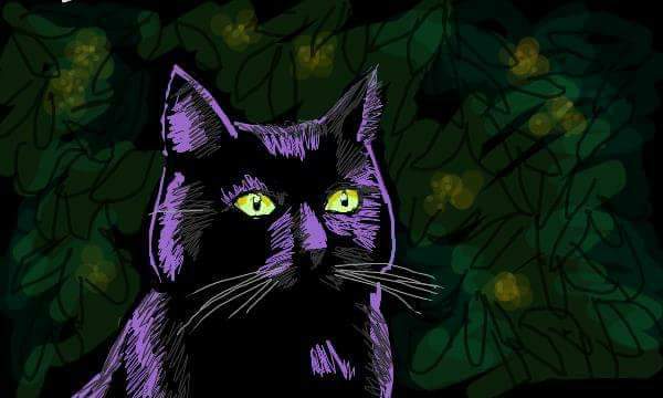 FB_IMG_1540599852322