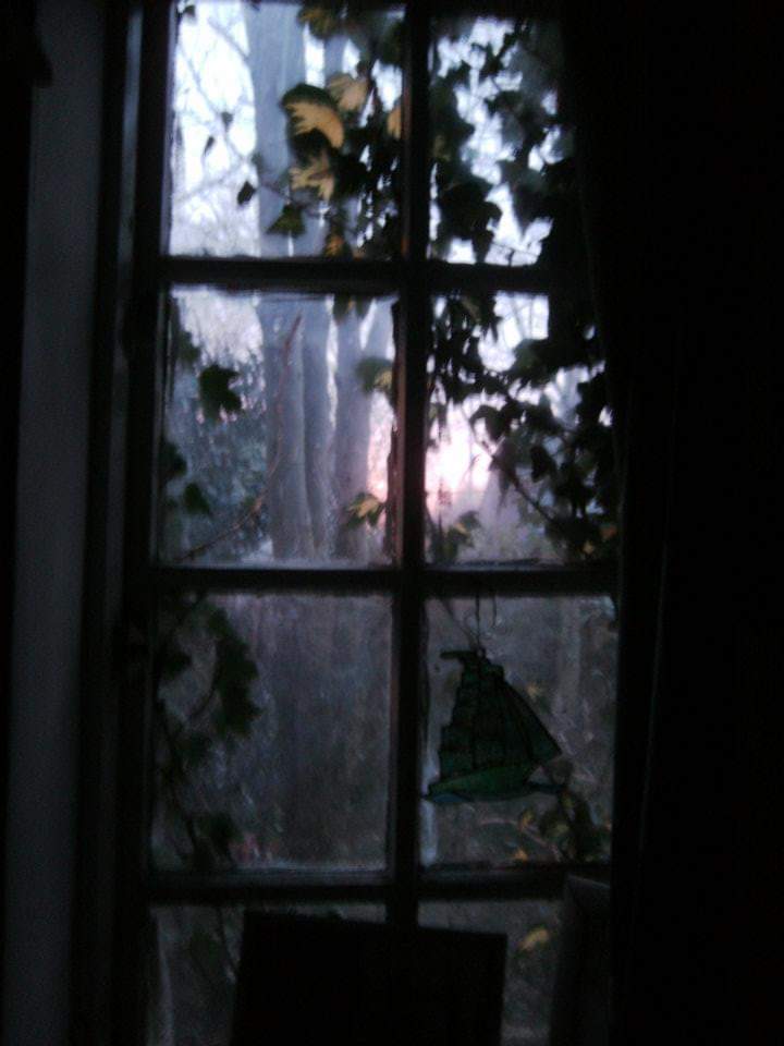 FB_IMG_1580303330085