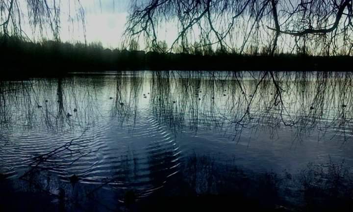 FB_IMG_1580566793464