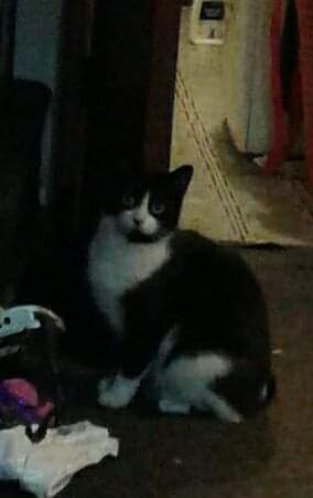 FB_IMG_1580825938560