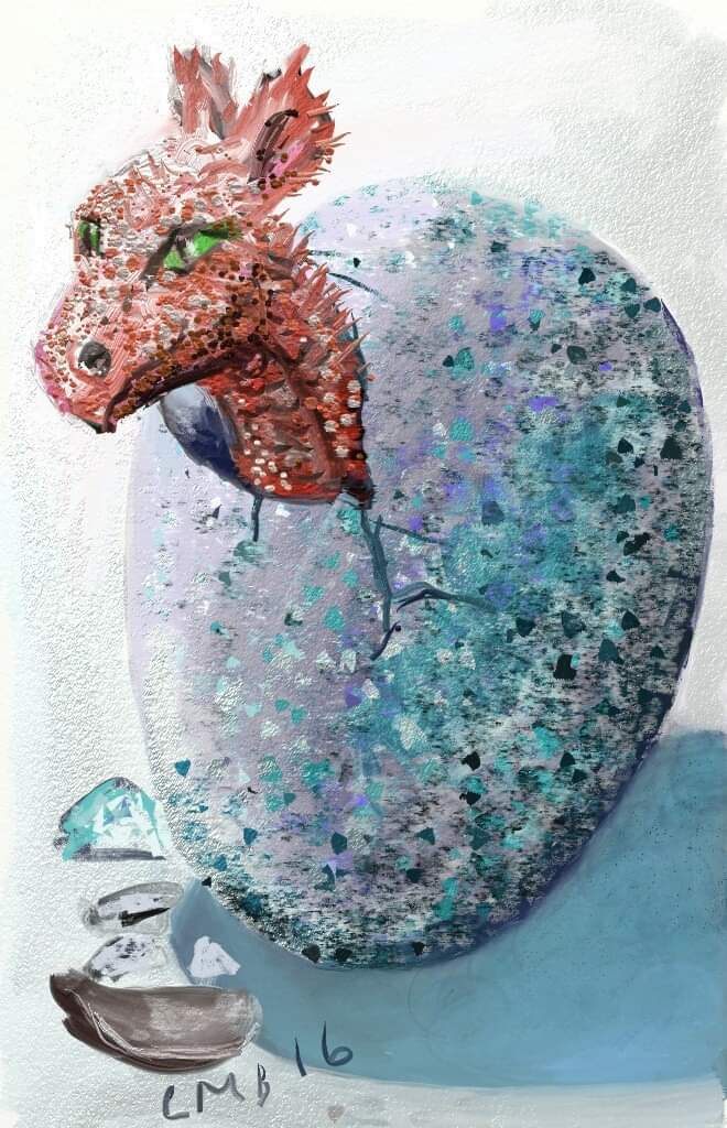 FB_IMG_1582818581852