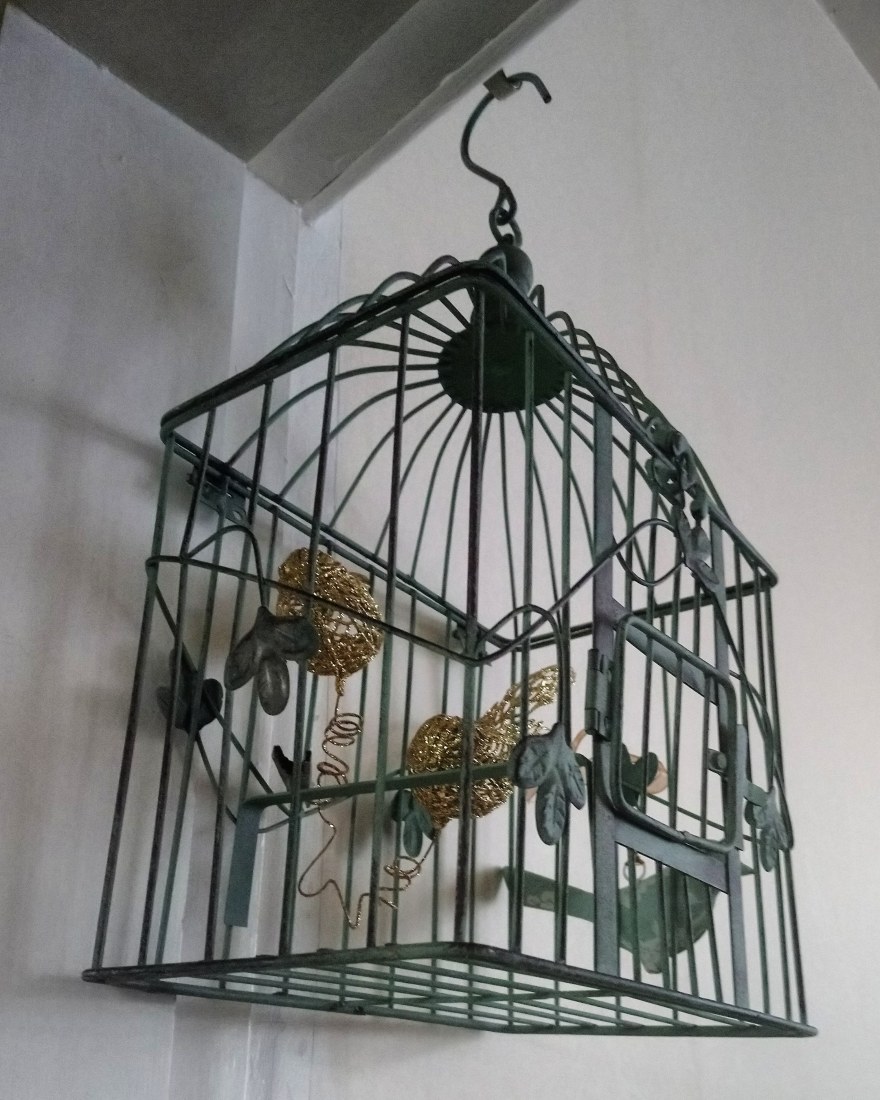 IMG_20200204_060502_536