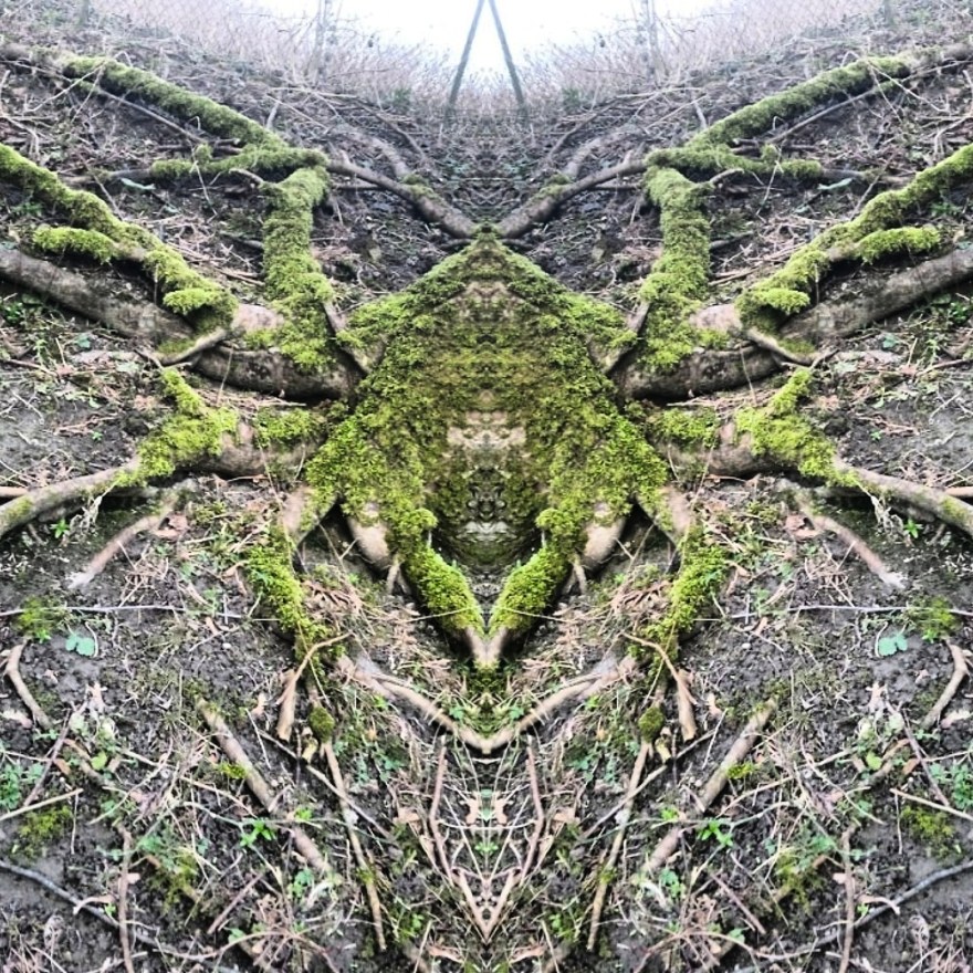 IMG_20200208_203046_285