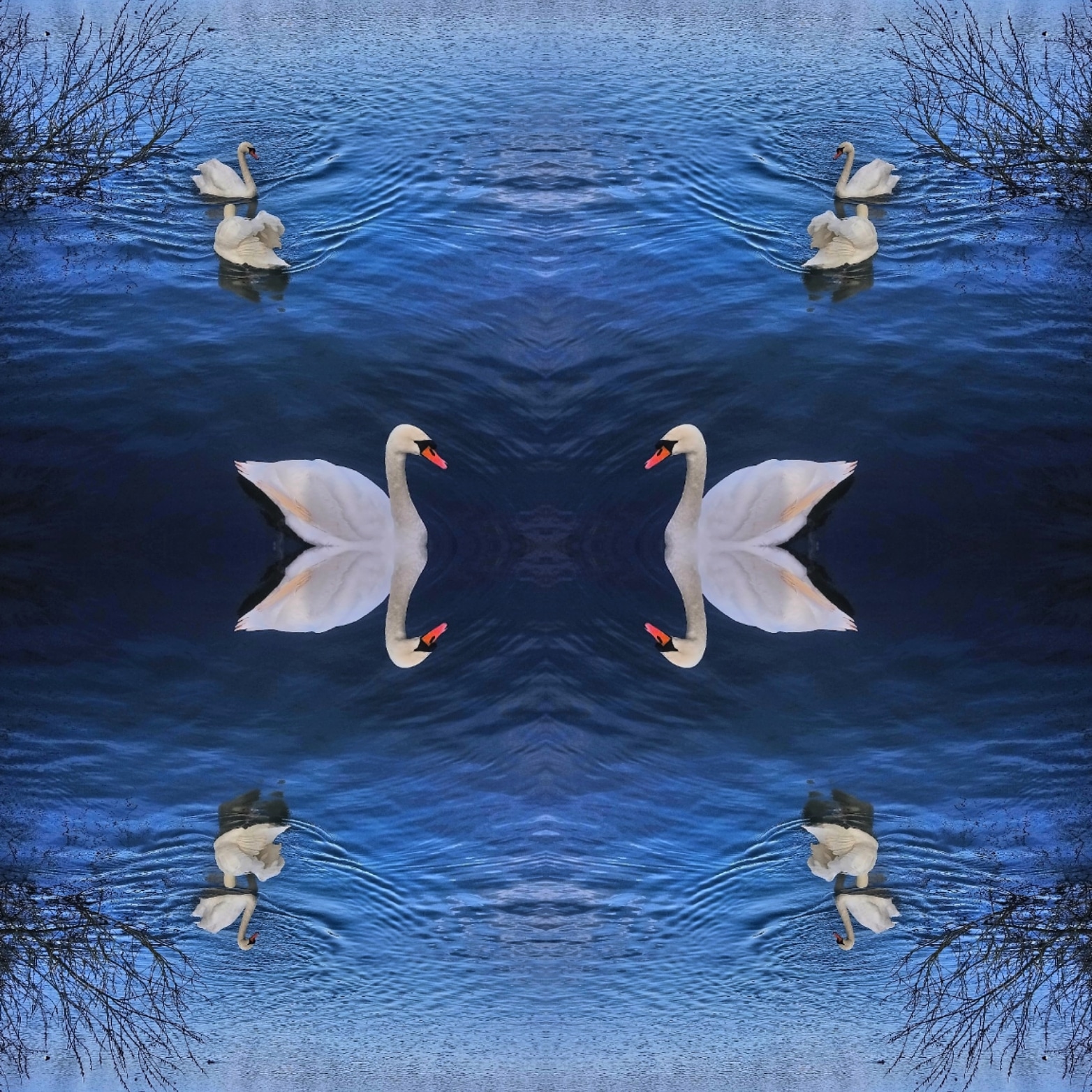 IMG_20200208_203343_334