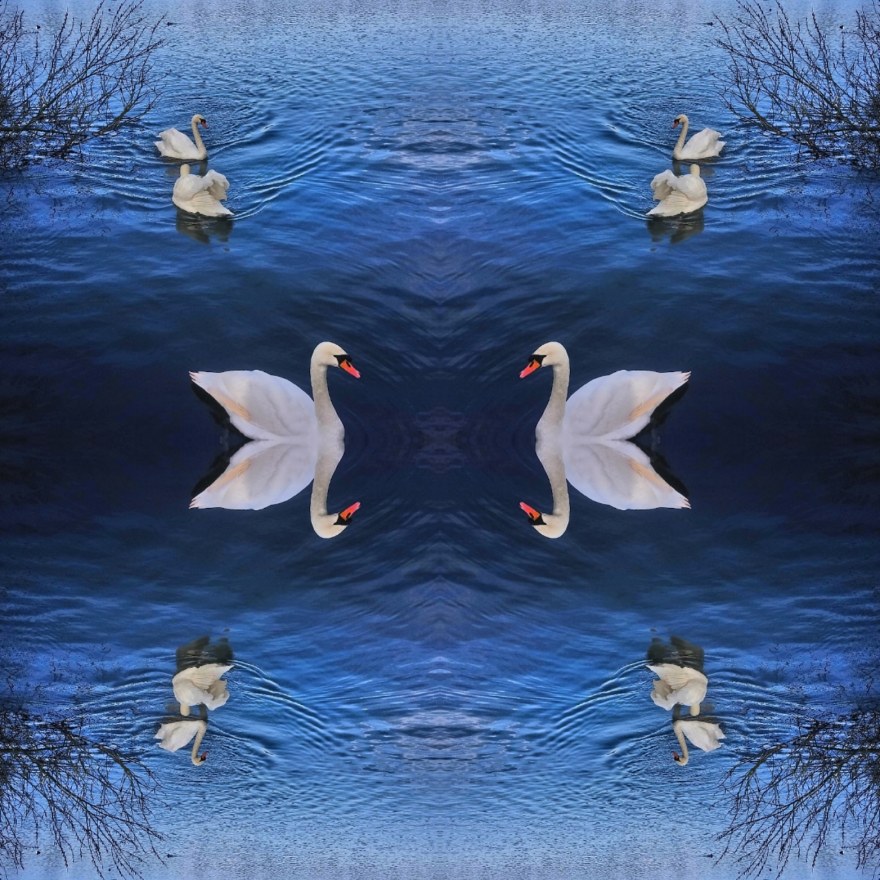 IMG_20200208_203343_334