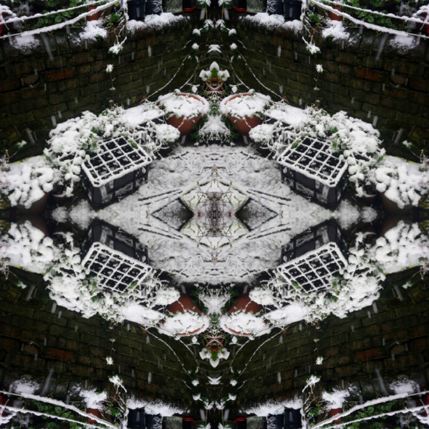 IMG_20200226_155612_408