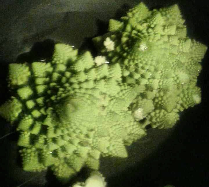 IMG_20200228_224806_715