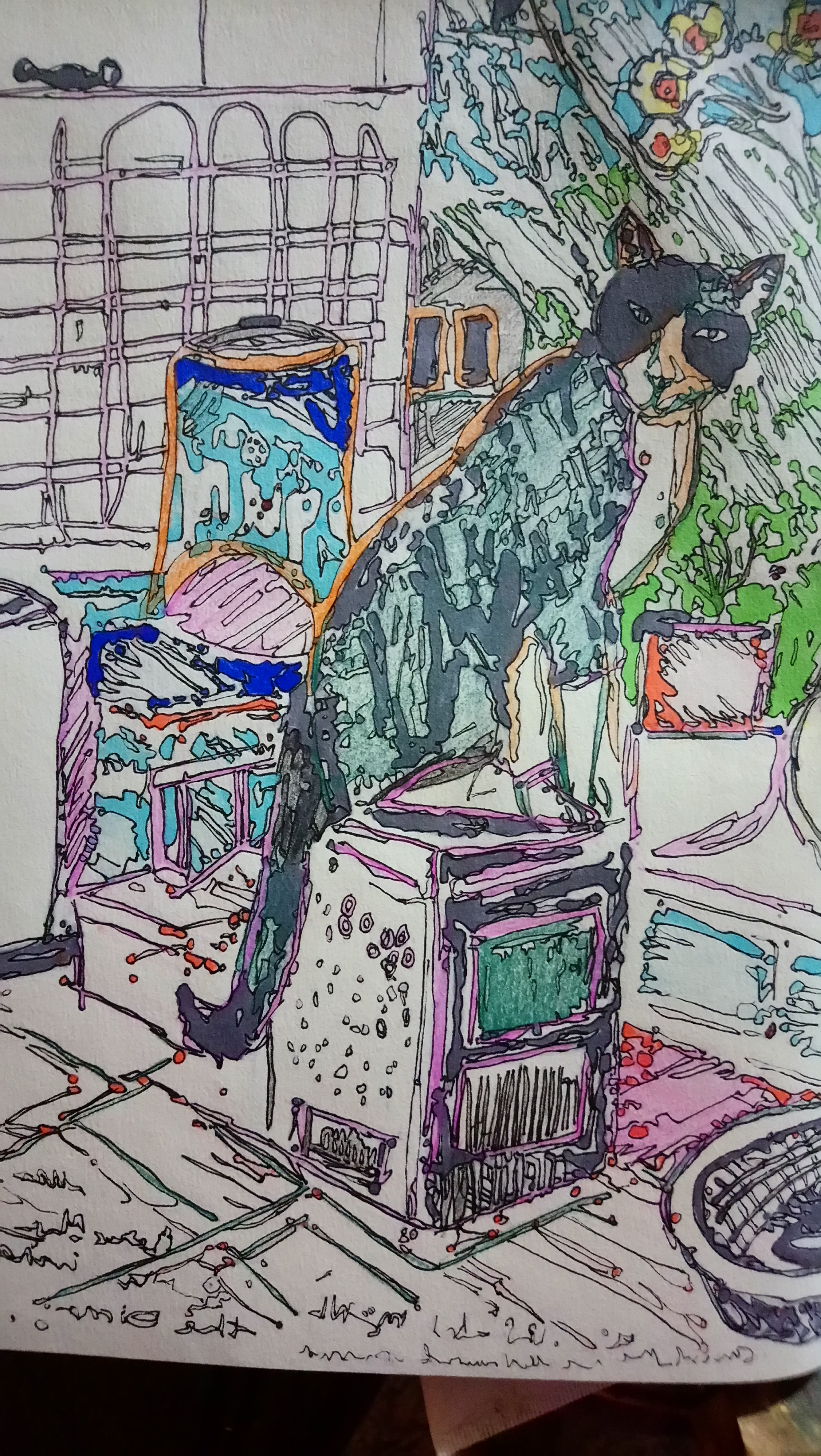 15851660639317090764355570624490