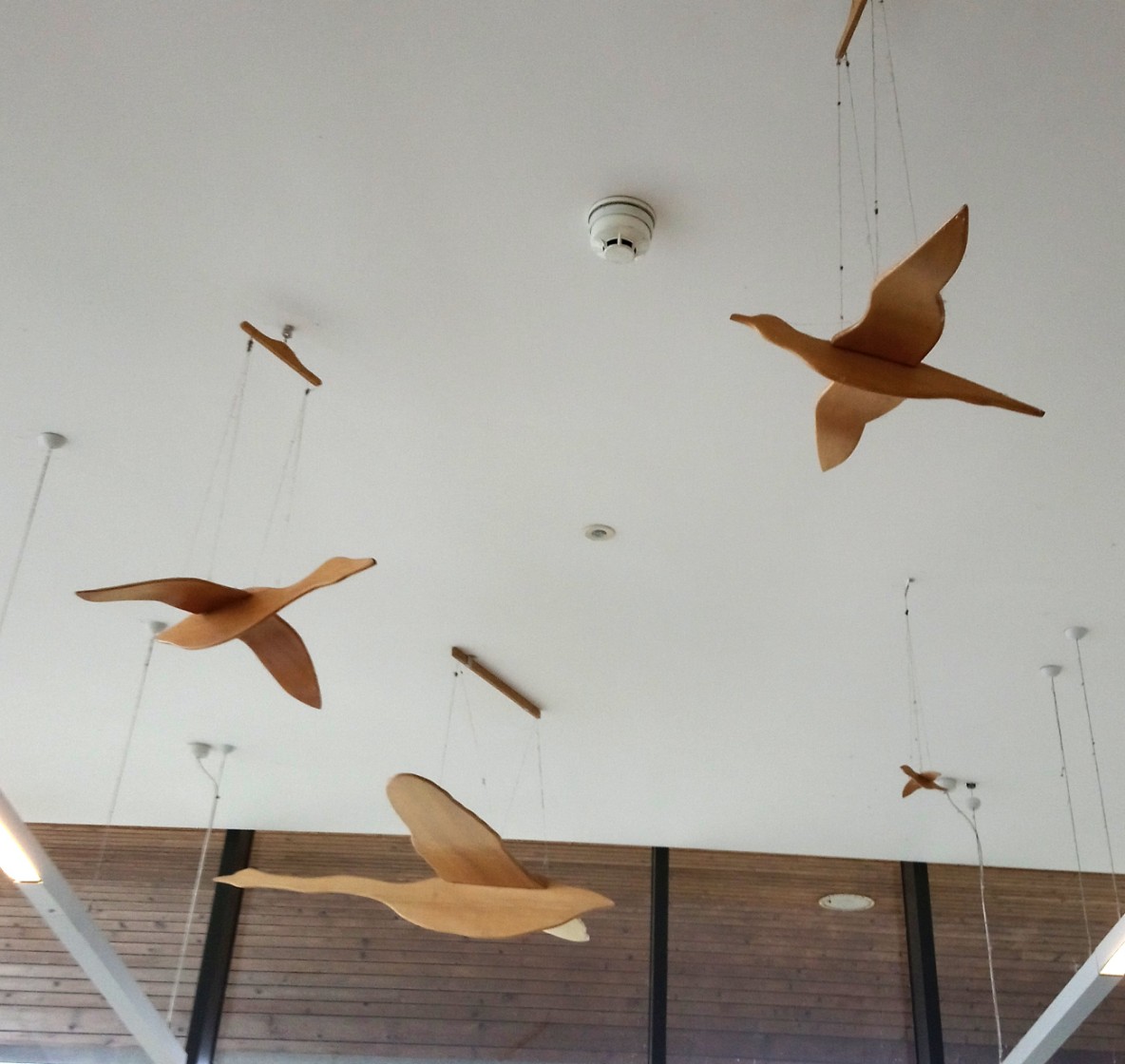 _20200306_160926_optimized