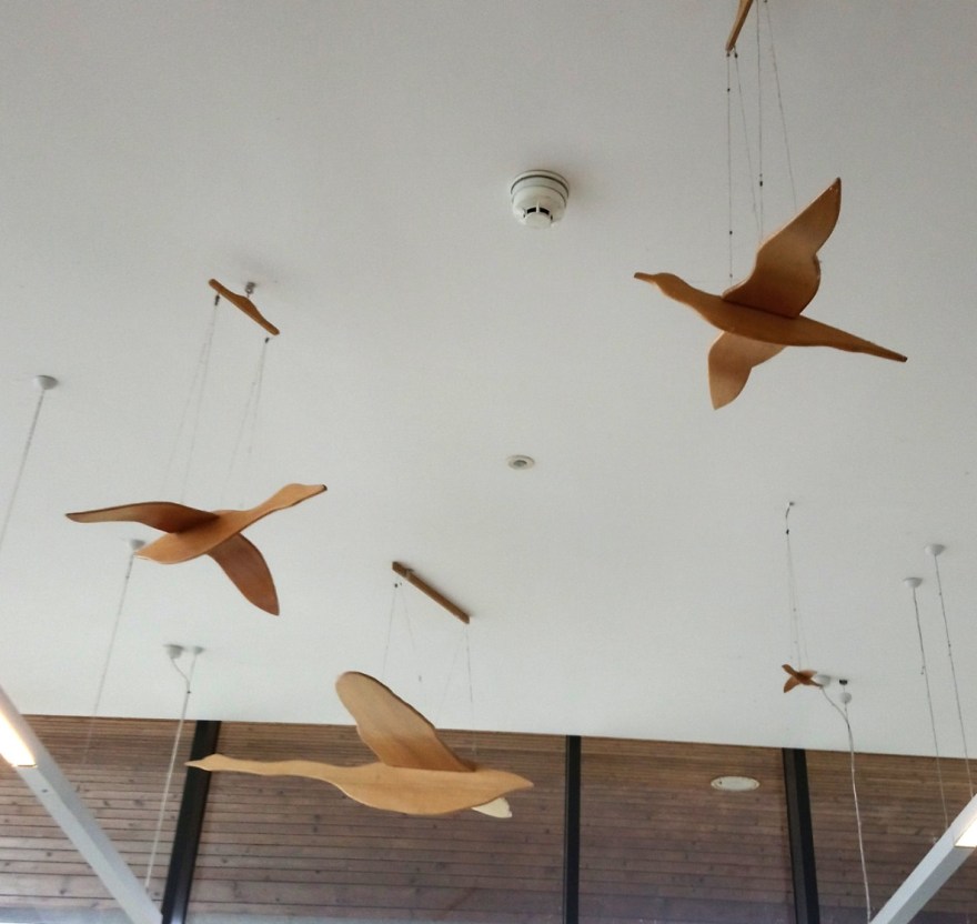 _20200306_160926_optimized