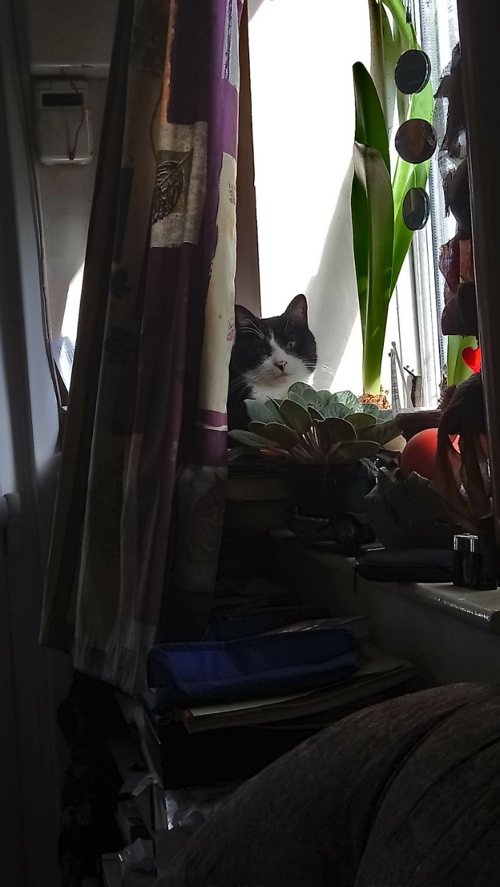 DSC_2393_optimized (7)