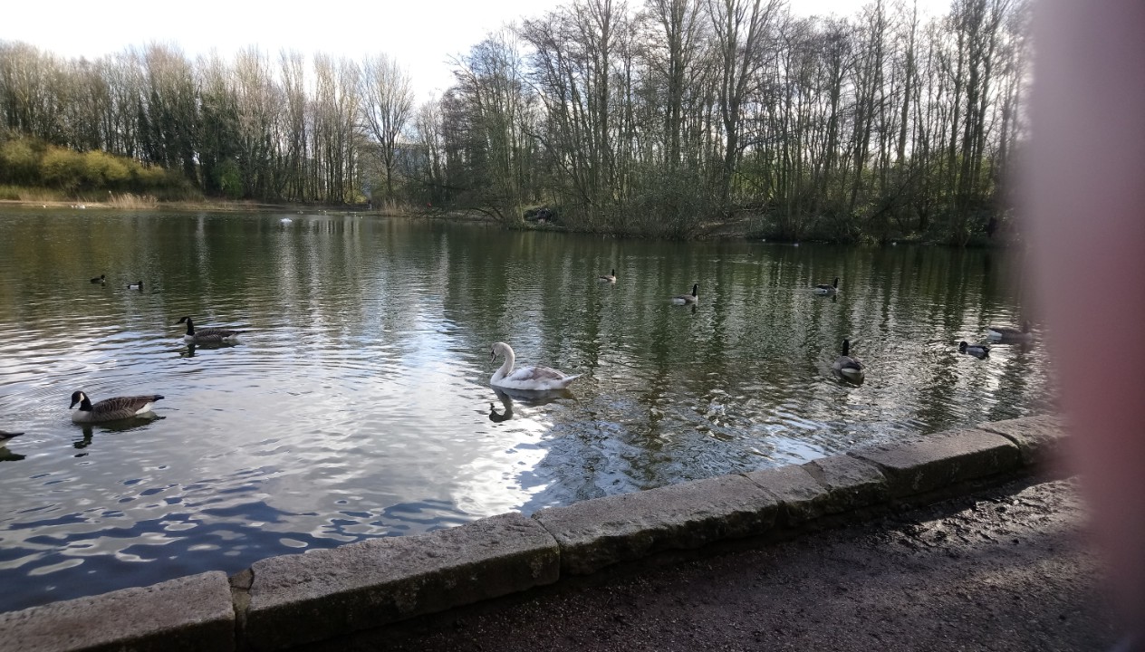 DSC_2461_optimized (2)