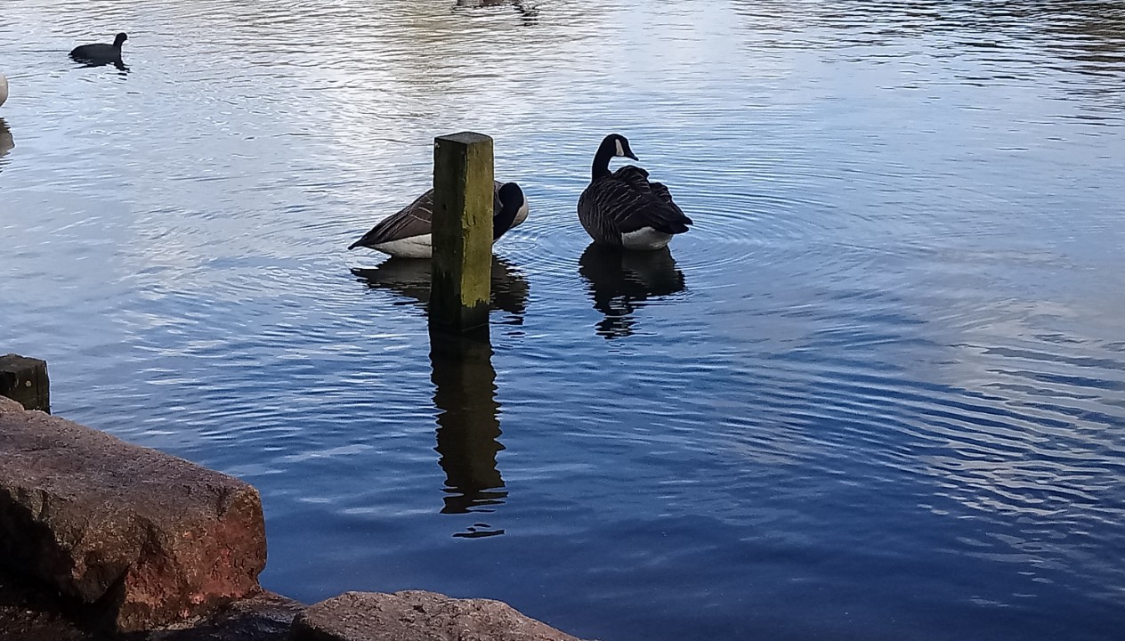 DSC_2466_optimized (2)