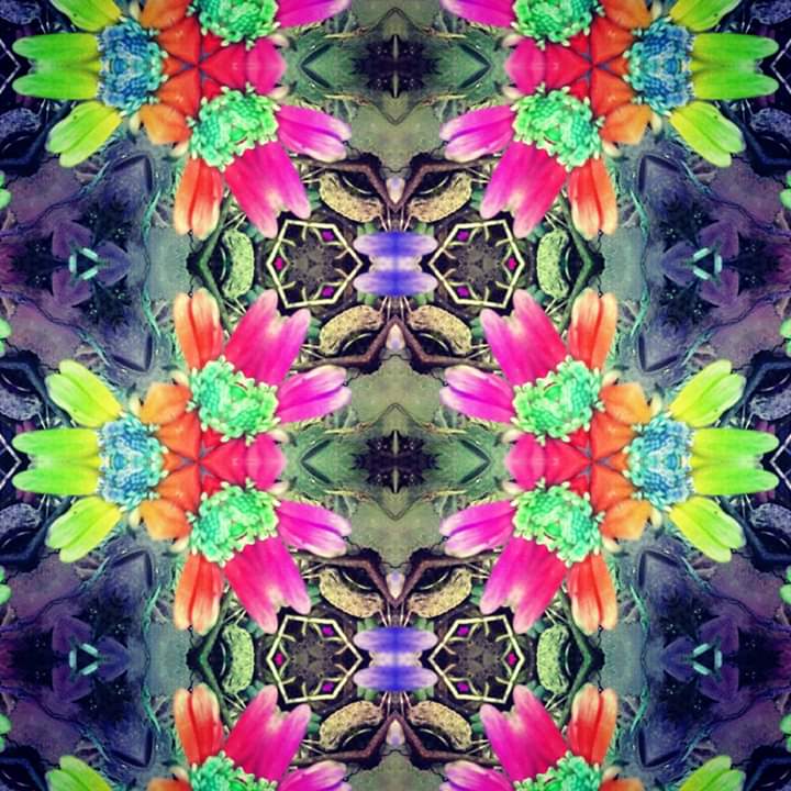 FB_IMG_1583070107564