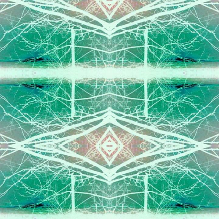 FB_IMG_1583705301798