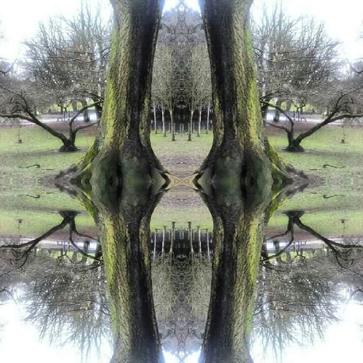 FB_IMG_1583851708439