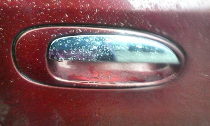 FB_IMG_1583851737617