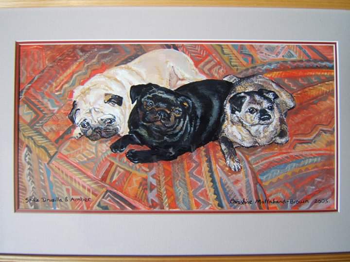 FB_IMG_1584146581186