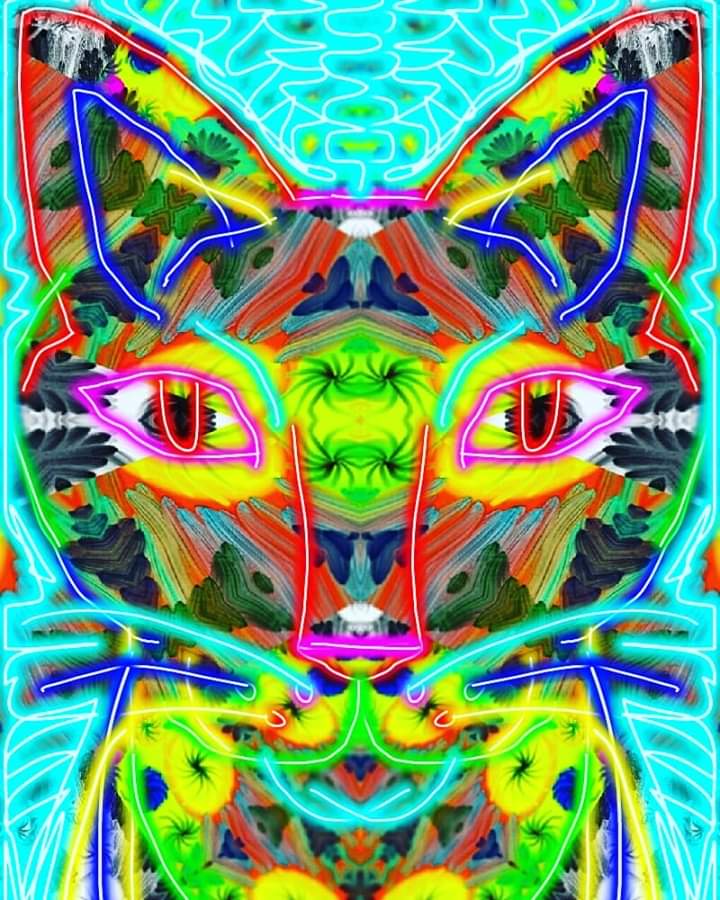 FB_IMG_1584397709171