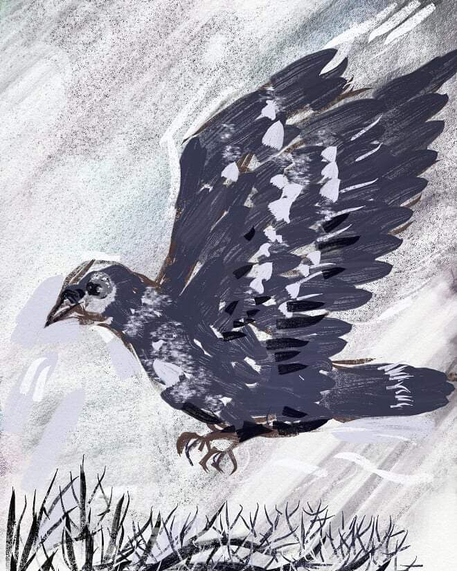 FB_IMG_1585445220489