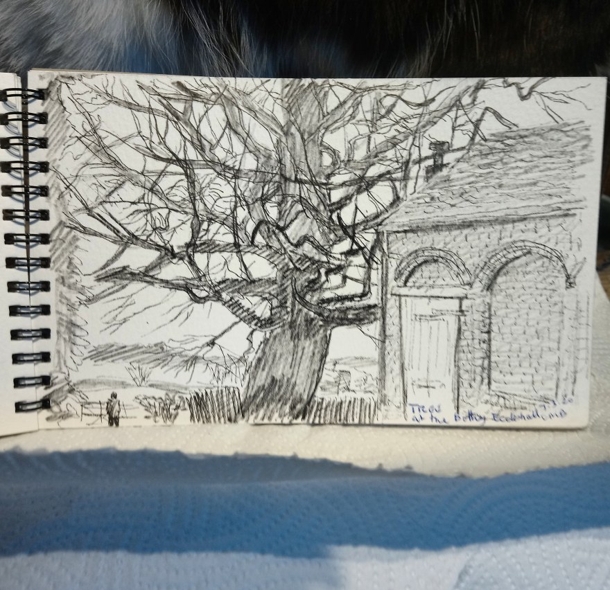 IMG_20200308_182533_595