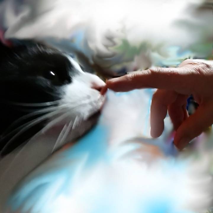 IMG_20200311_031821_435