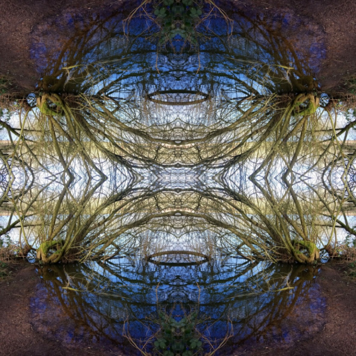 IMG_20200310_115620_optimized