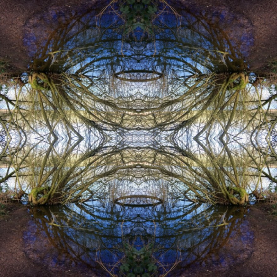 IMG_20200310_115620_optimized