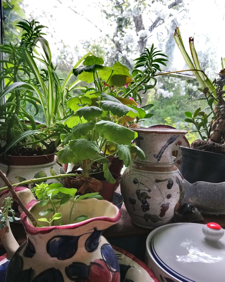 IMG_20200418_002910_358