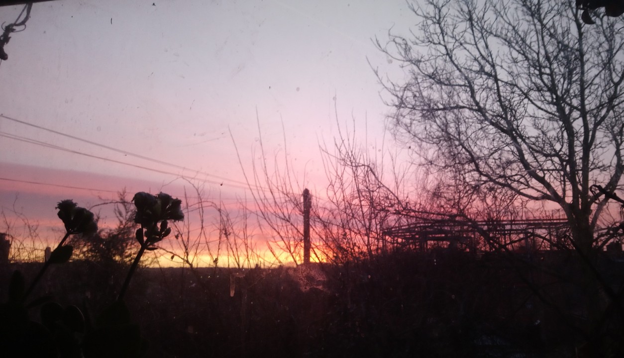 _20200219_071735_optimized