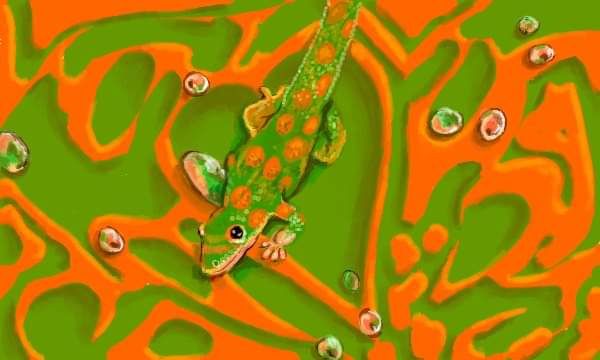 FB_IMG_1555027963954