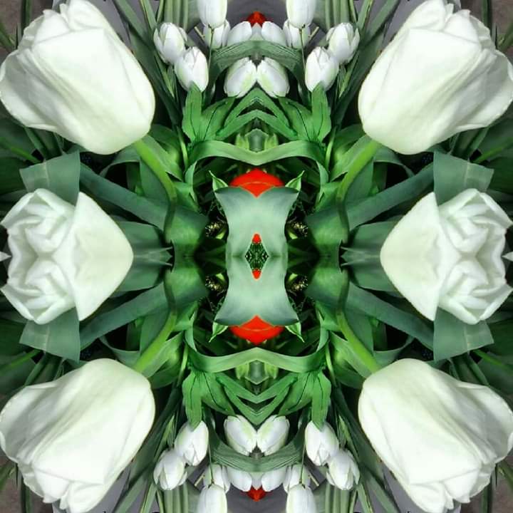 FB_IMG_1588331211081