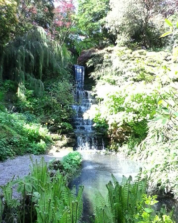 FB_IMG_1588721437502