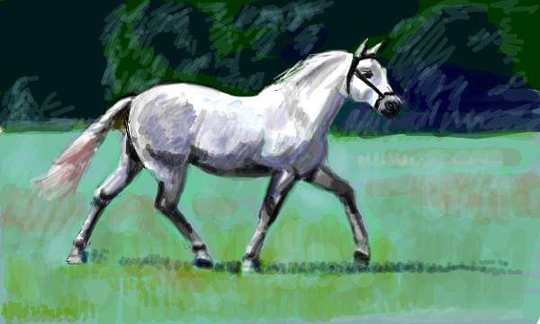 FB_IMG_1590219556062