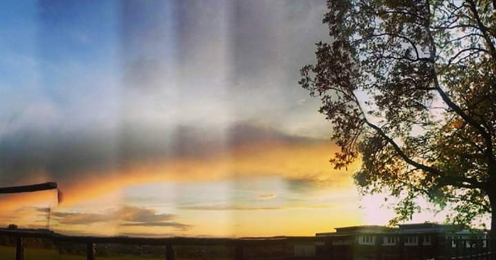 FB_IMG_1590227847122