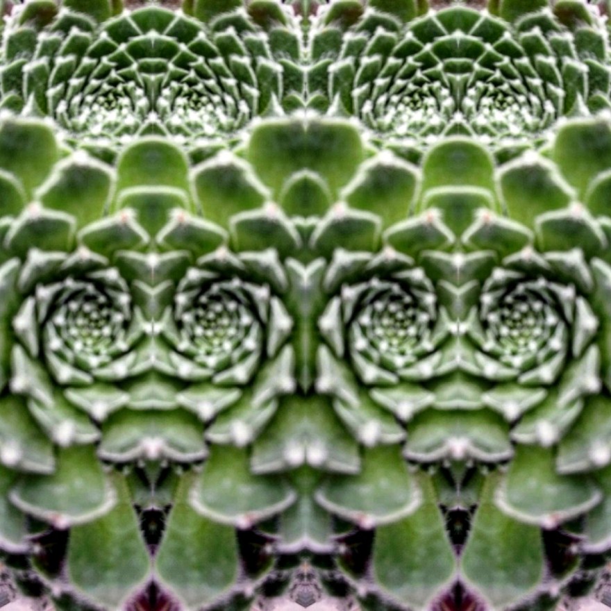 IMG_20191016_182111_854 (2) (2) (2)_optimized