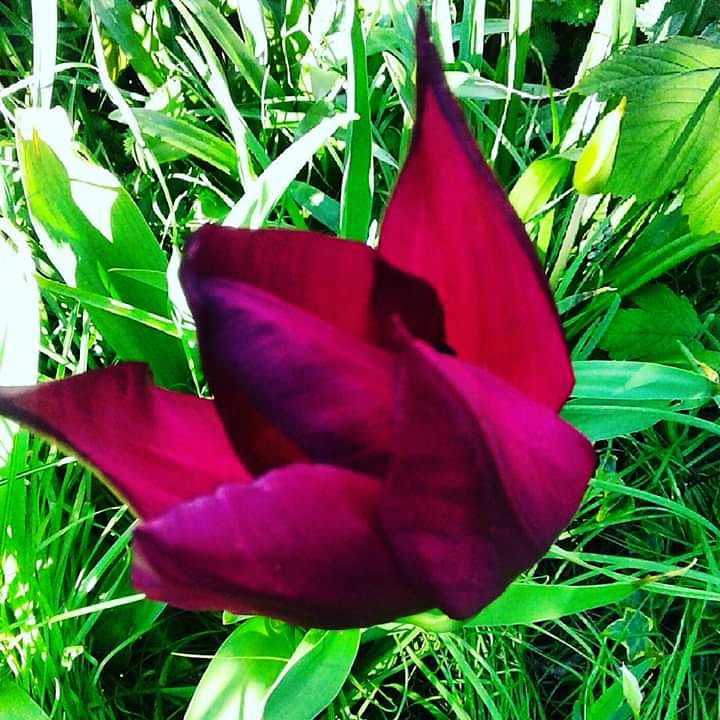 IMG_20200416_154522_428