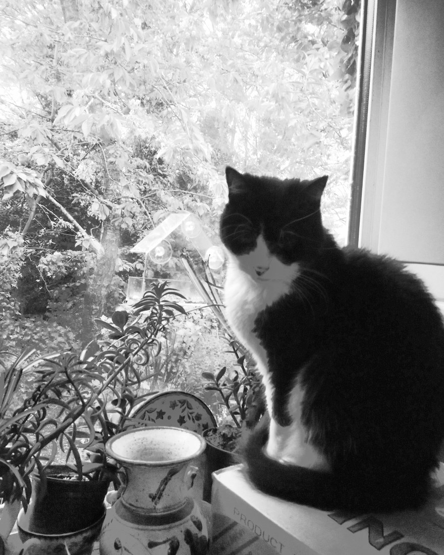 IMG_20200501_225848_380