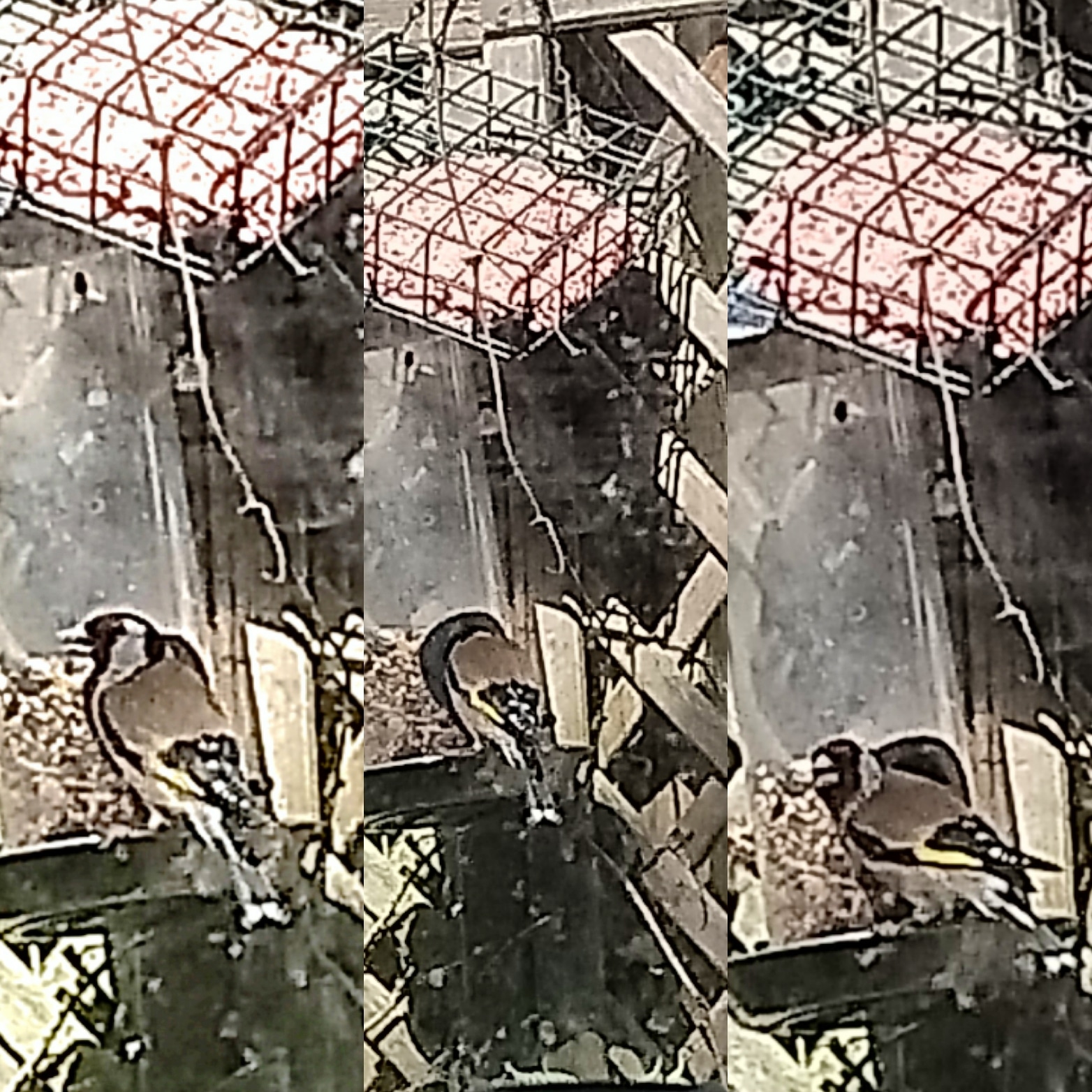 IMG_20200528_104259_597