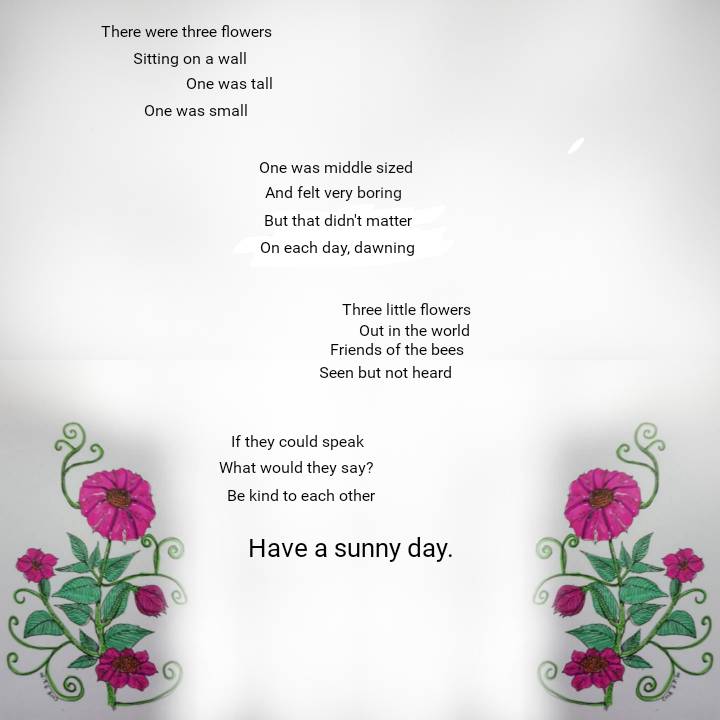 sketch-1588435527385