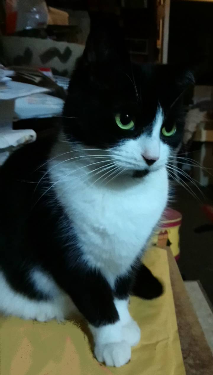 sketch-1589150043314