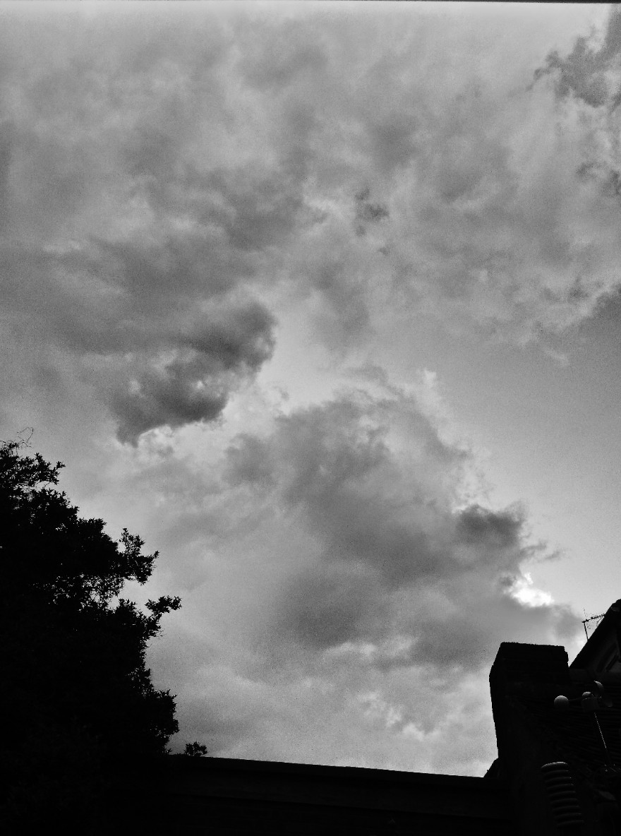 _20200501_195317_optimized