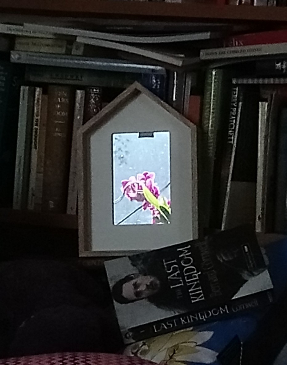 _20200528_103123_optimized