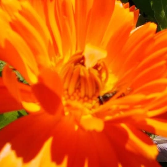 IMG_20200610_232349_334