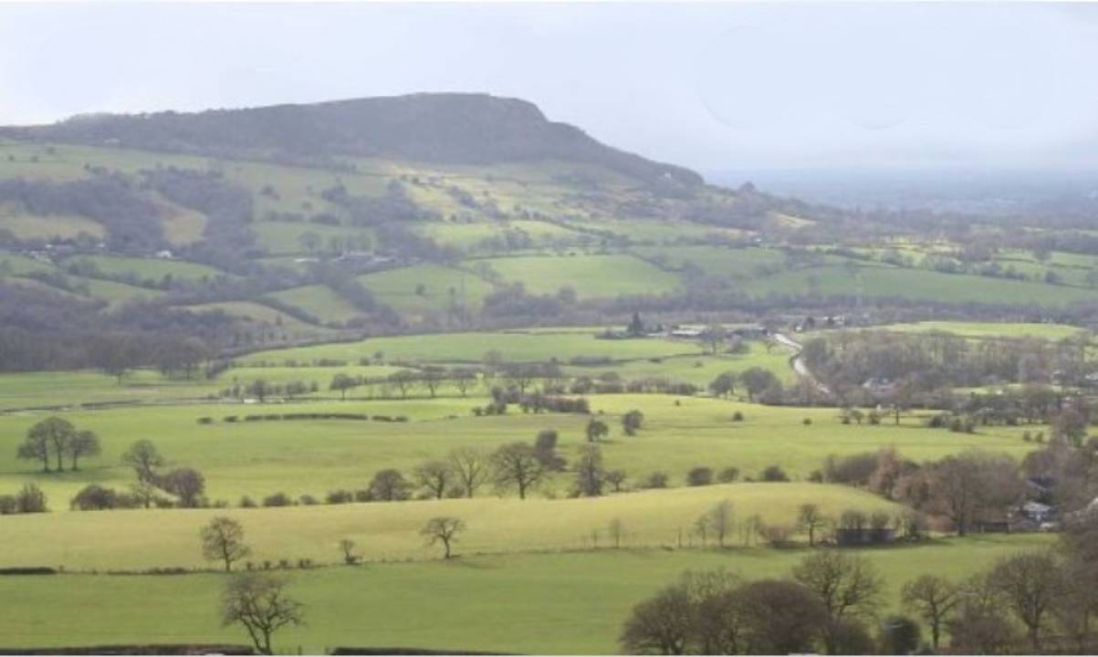 sketch-1592654798837